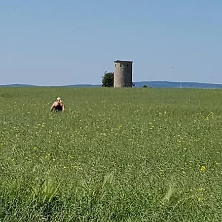 Kornhaus - Schoene Mit Pool, Kamin Und Terrasse Daire *
