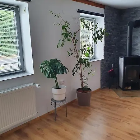 Kornhaus - Schoene Mit Pool, Kamin Und Terrasse Daire *