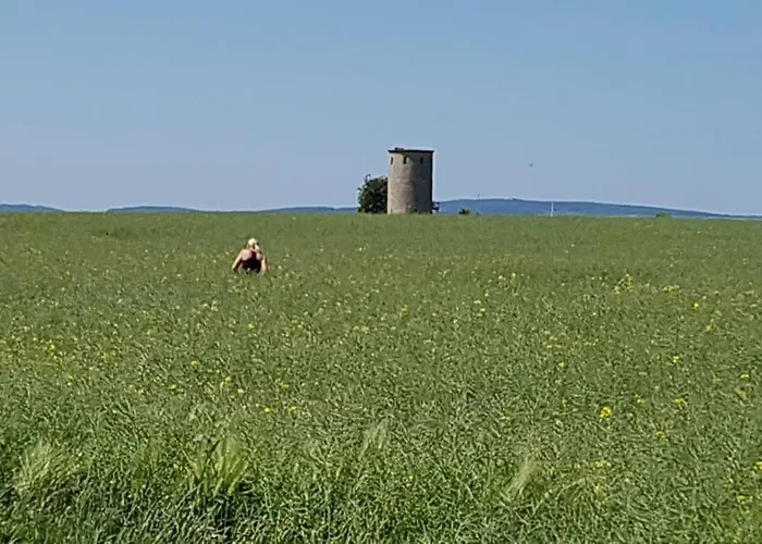 Kornhaus - Schoene Mit Pool, Kamin Und Terrasse Appartement *